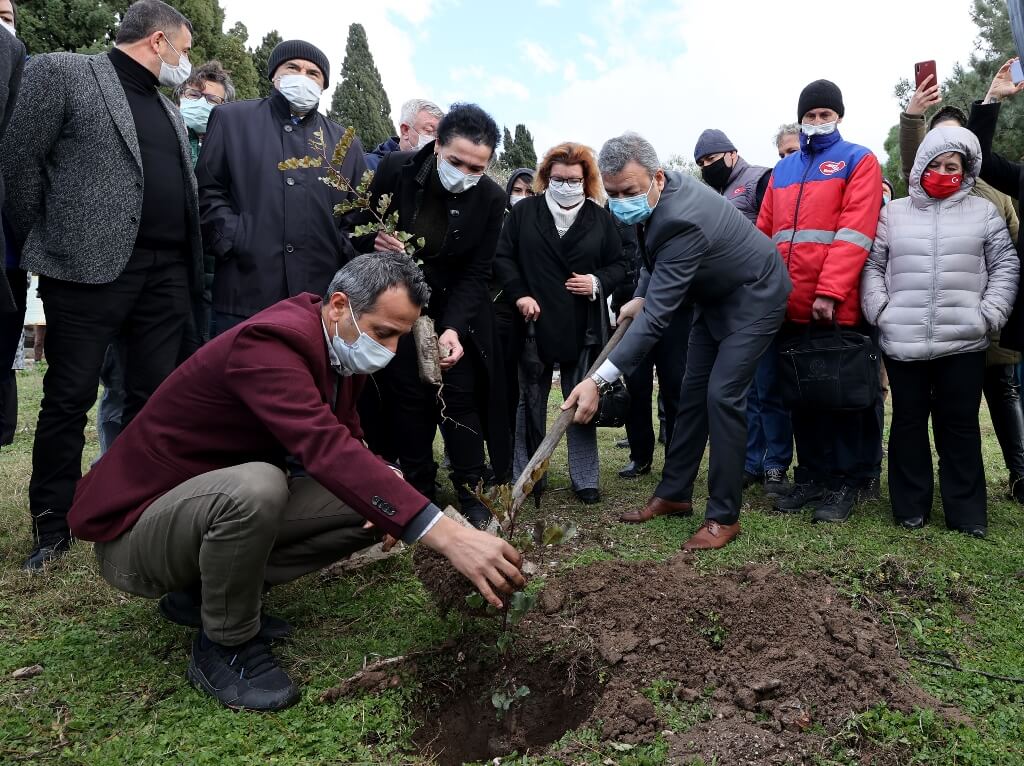 Çeşme'de üreticilere kuraklığa dayanıklı keçiboynuzu fidanı dağıtıldı