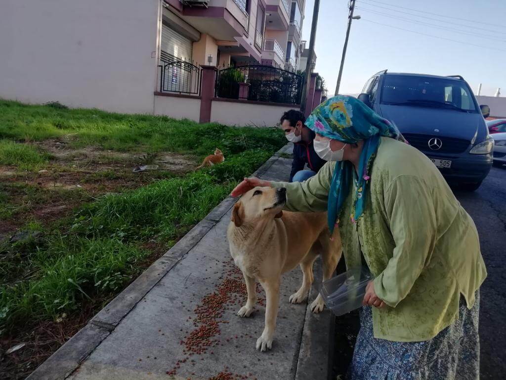 İzmir'de kısıtlama günlerinde sokak hayvanları için yaklaşık 100 ton mama dağıtıldı