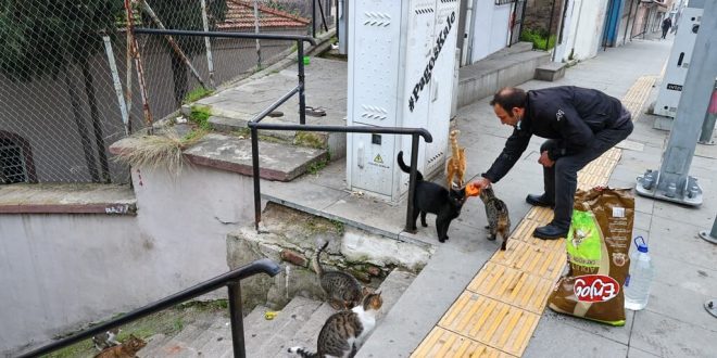 İzmirli motosikletli kurye hafta sonları aç sokak hayvanları için yollara düşüyor