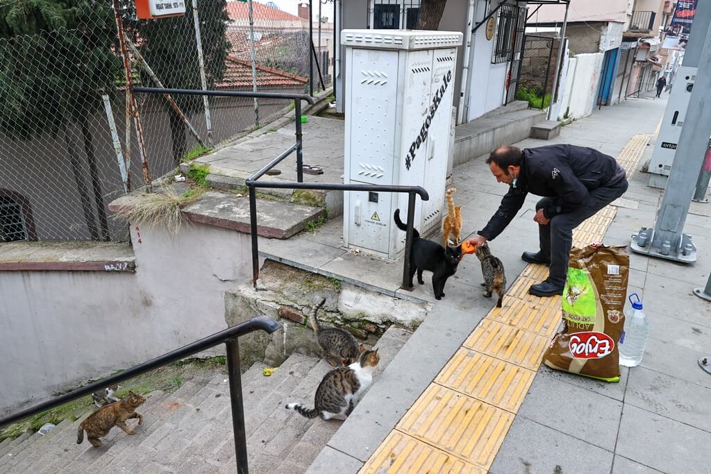 İzmirli motosikletli kurye hafta sonları aç sokak hayvanları için yollara düşüyor