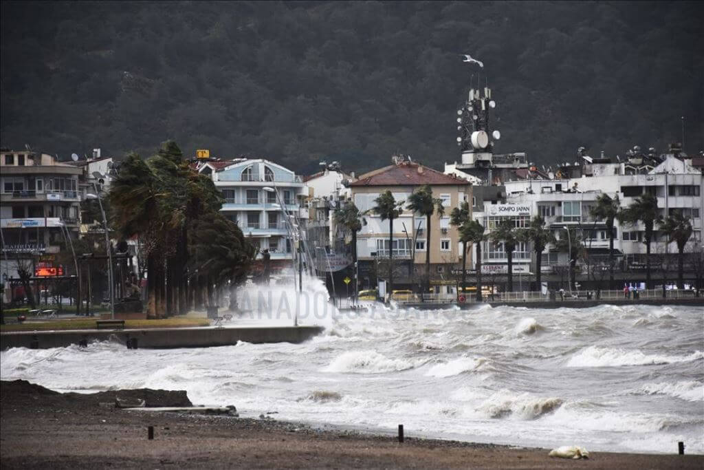 Muğla'da kuvvetli rüzgar bazı ağaçları ve elektrik direklerini devirdi