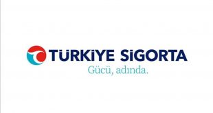 Türkiye Sigorta 2020'yi lider kapattı