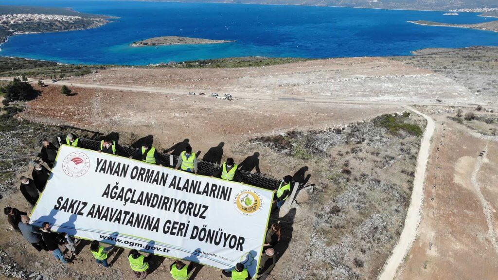 Çeşme'de yangından zarar gören alana 5 bin sakız ağacı fidanı dikildi