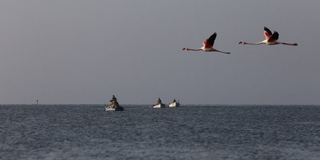 İzmir Gediz deltasının kıyı balıkçıları