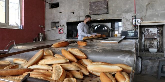 Manisalı fırıncı barınaktaki hayvanların "ekmek sponsoru" oldu