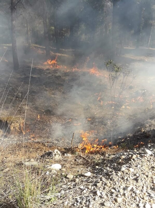 Muğla'da ormanlık alanda çıkan yangın söndürüldü