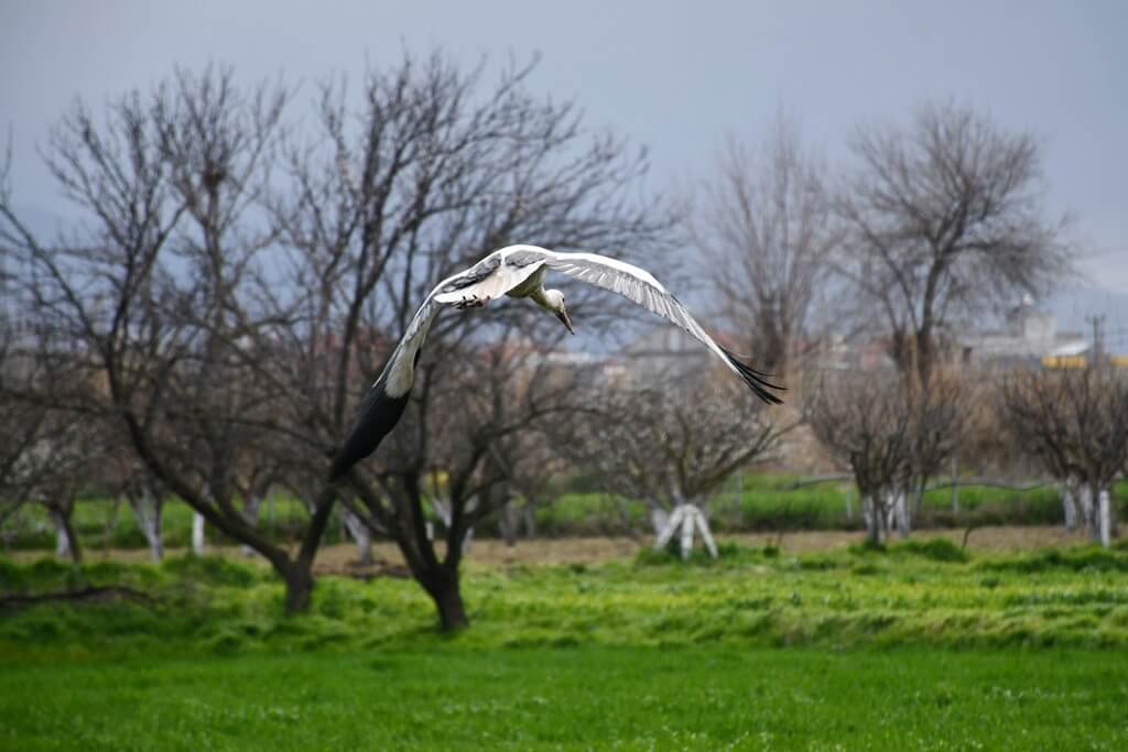 Turgutlu haber