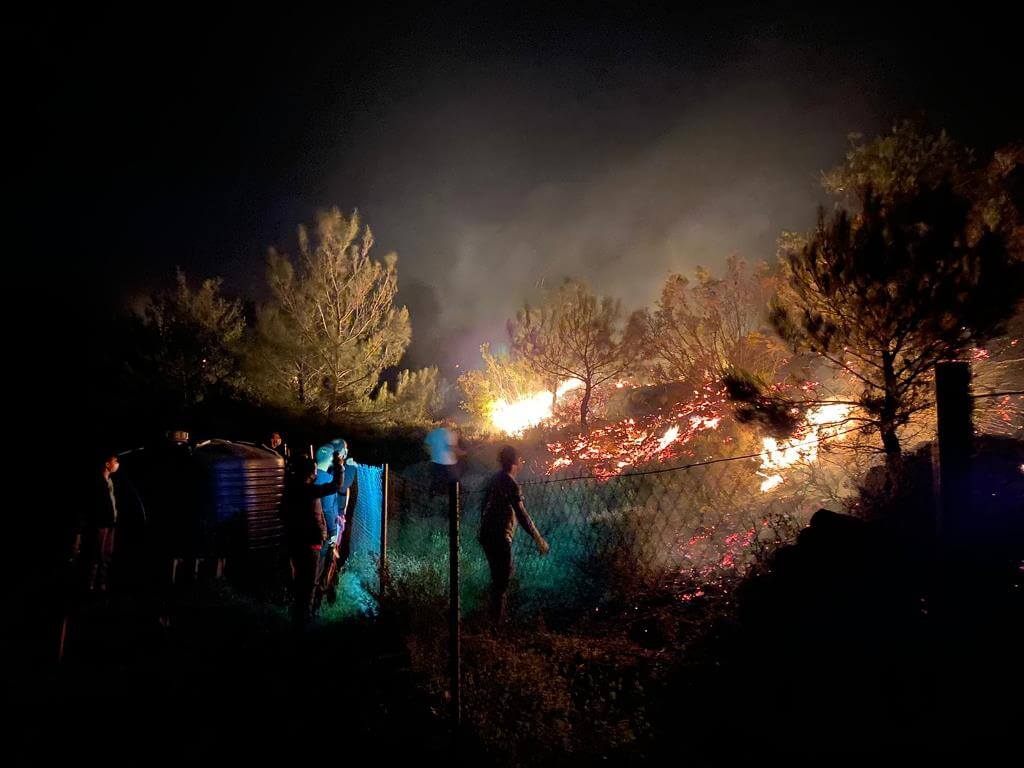 Muğla'nın Milas ilçesinde çıkan orman yangını söndürüldü