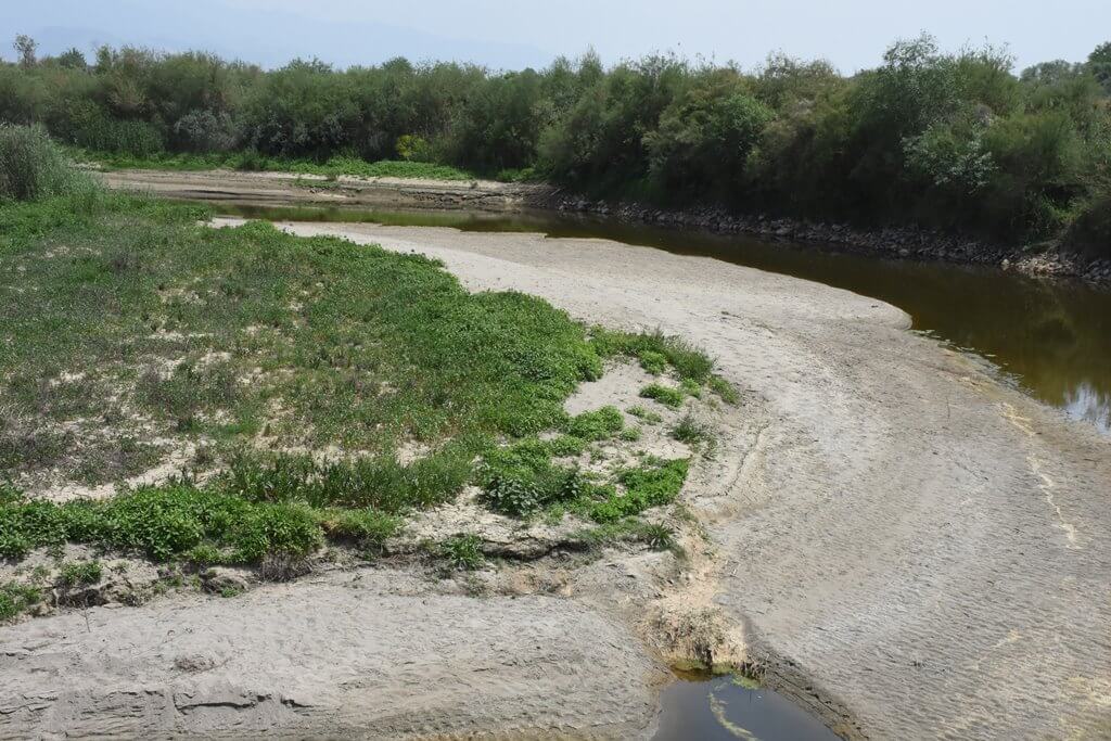 Büyük Menderes Nehri'nin Aydın kısmındaki bazı bölümlerinde sular çekildi