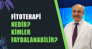 Fitoterapi Nedir? Belirtileri ve Tedavisi