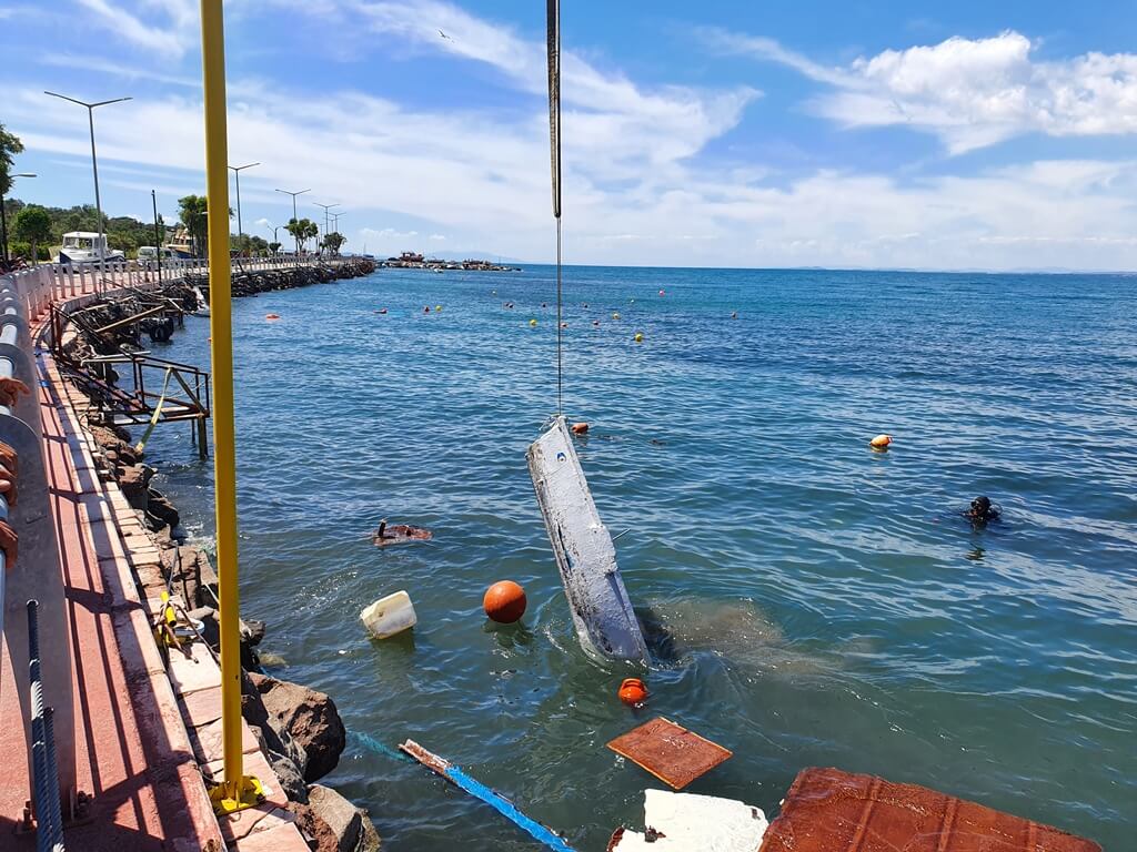 İzmir'in Dikili ilçesinde şiddetli fırtınadan sonra hasta tespit kaydı yapılıyor