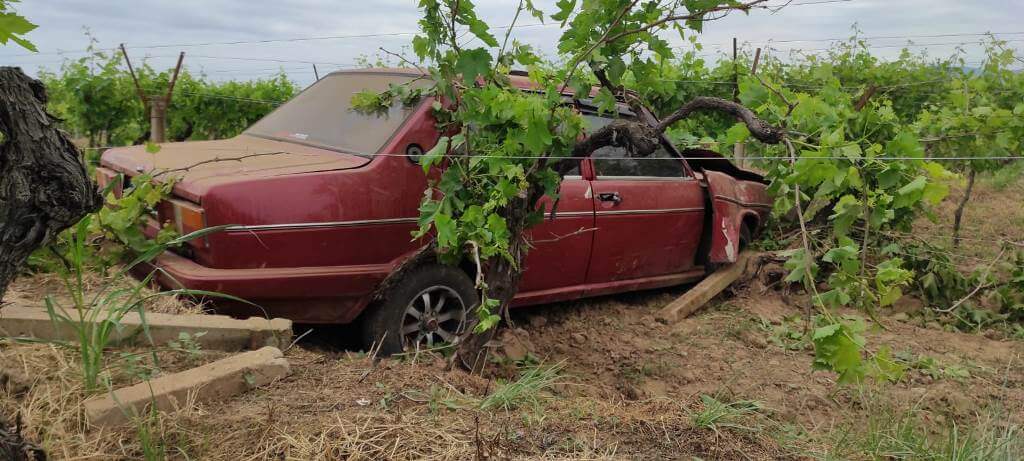 Manisa'da Seyir halindeyken Önüne çıkan köpeğe çarpmamak için otomobil üzüm bağına devrildi