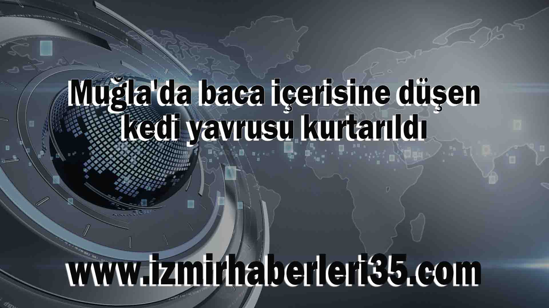 Muğla'da baca içerisine düşen kedi yavrusu kurtarıldı