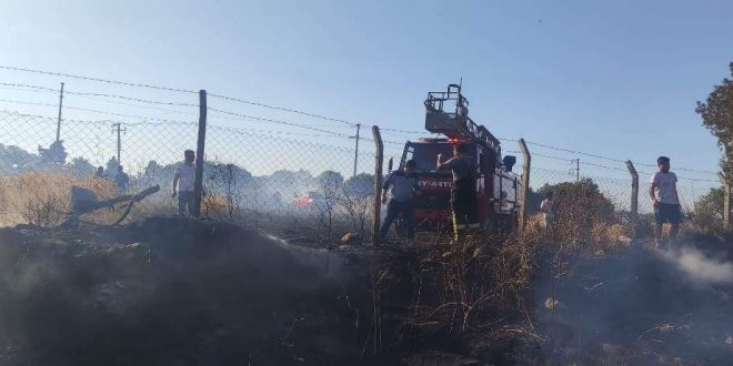 Muğla'da buğday ekili tarlada çıkan yangında 17 dönüm alan zarar gördü