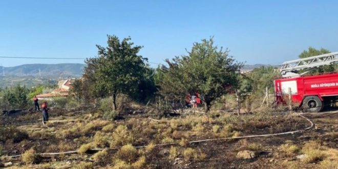 Muğla'da evin bahçesinde çıkan yangın hasara yol açtı