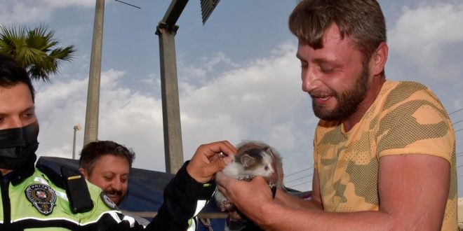 Muğla'da, otomobilin motor bölümünde sıkışan kedi yavrusu kurtarıldı