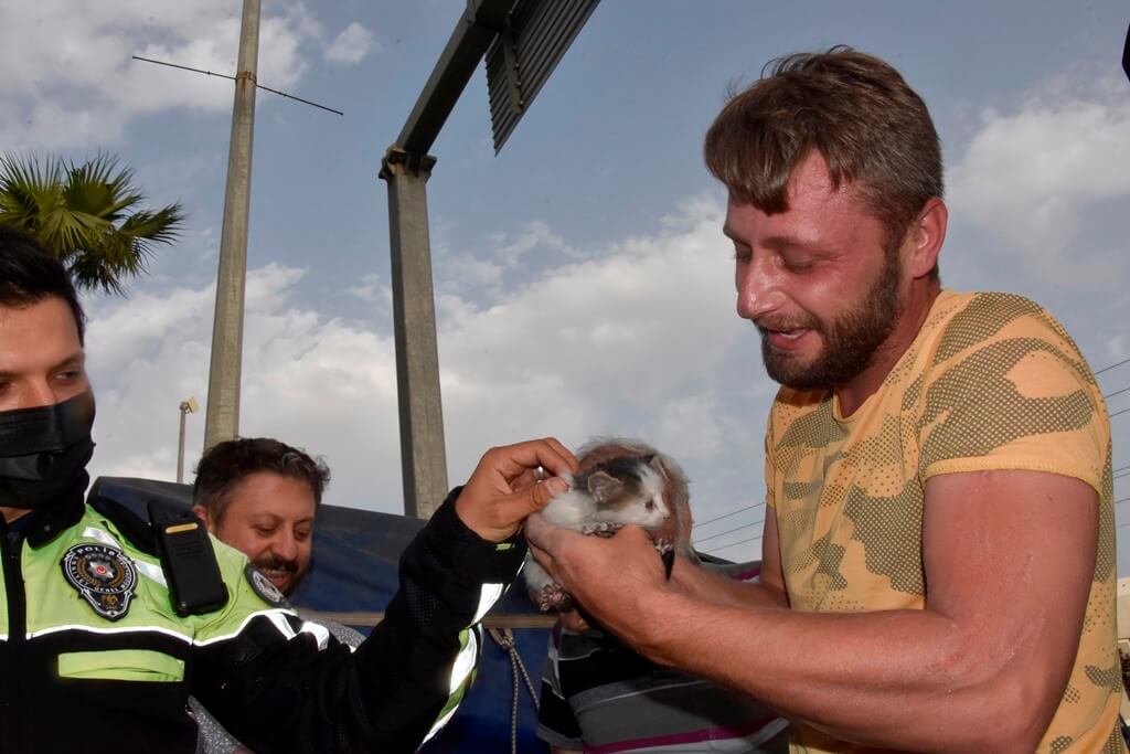 Muğla'da, otomobilin motor bölümünde sıkışan kedi yavrusu kurtarıldı