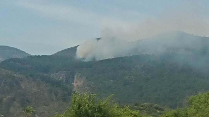 Muğla'nın Ortaca ilçesinde orman yangını başladı