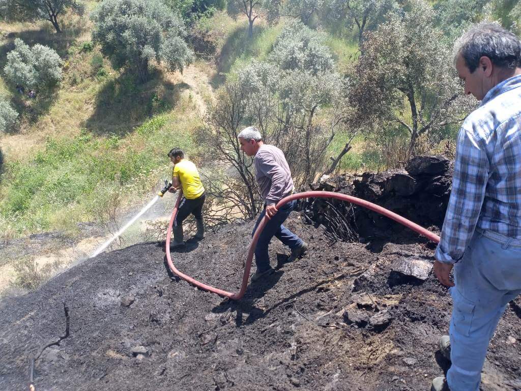 Ödemiş'te ağaçlandırma sahasında çıkan yangın kontrol altına alındı