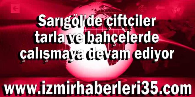 Sarıgöl'de çiftçiler tarla ve bahçelerde çalışmaya devam ediyor