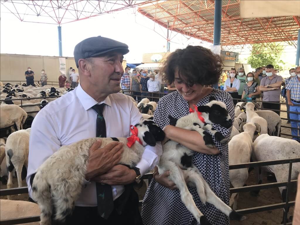 Seferihisar'daki çiftçilere küçükbaş hayvan desteği