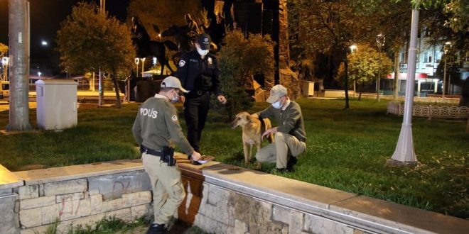 Uşak'ta polis ekipleri, tam kapanmada sokak hayvanlarını besledi