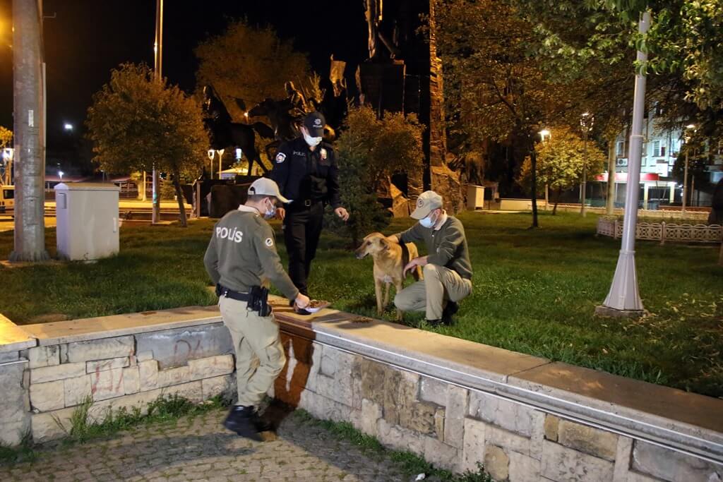 Uşak'ta polis ekipleri, tam kapanmada sokak hayvanlarını besledi