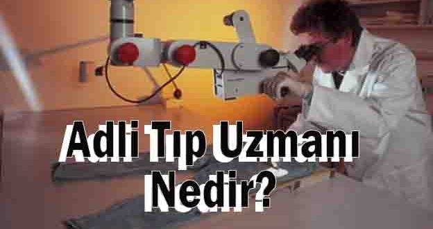 Adli Tıp Uzmanı