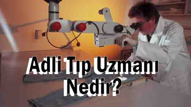 Adli Tıp Uzmanı