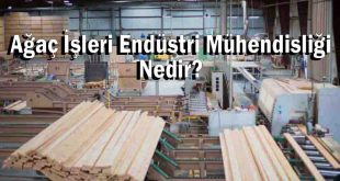 Ağaç İşleri Endüstri Mühendisliği