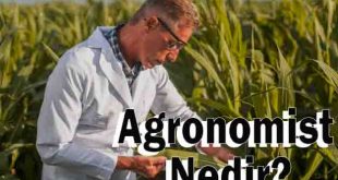 Agronomist