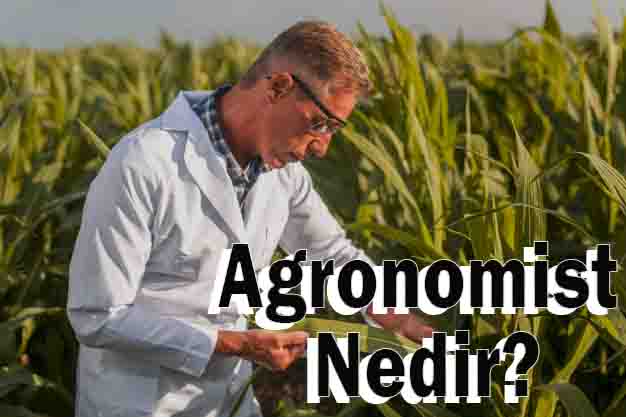 Agronomist