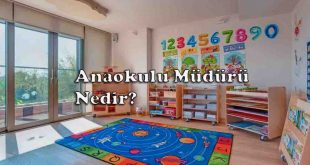 Anaokulu Müdürü