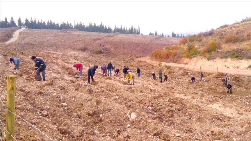 Aras Kargo, 16 bin çalışanı adına 16 bin adet fidan bağışladı