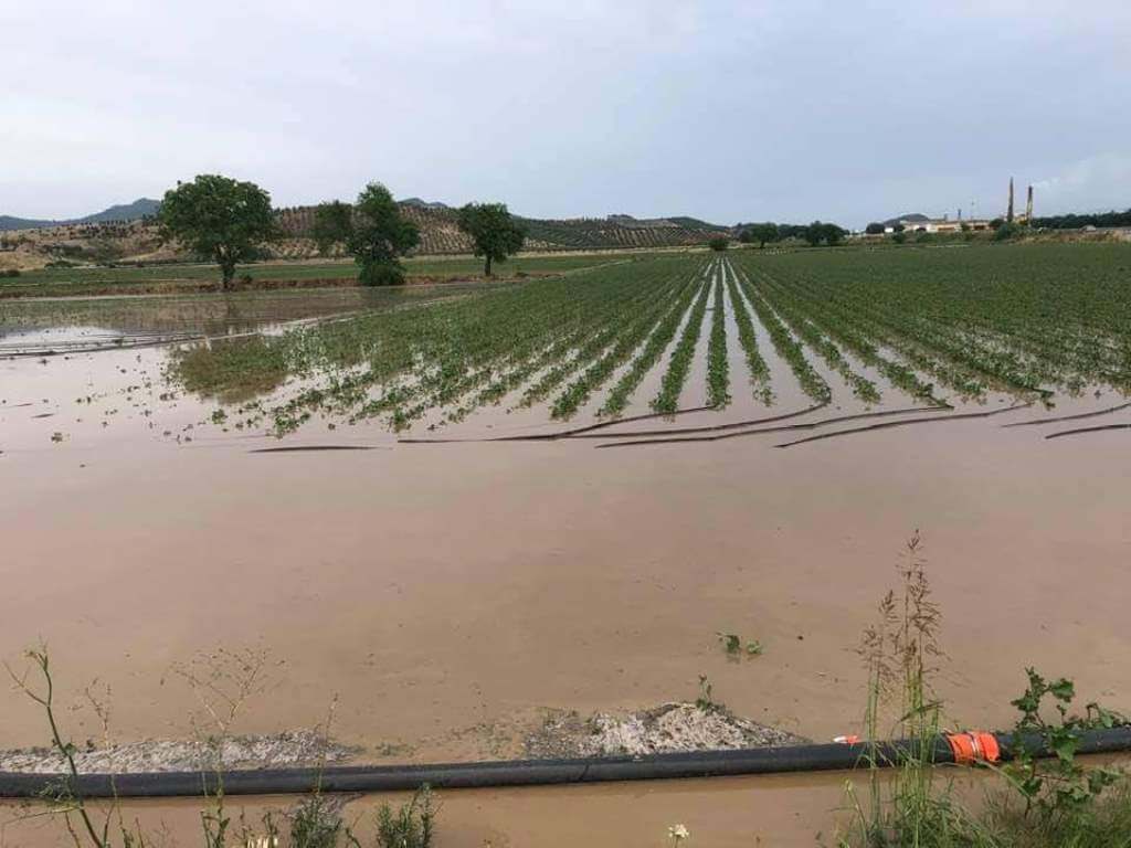 Bergama'da sağanak yağıs ve dolu 3 bin dönüm tarım arazisine zarar verdi