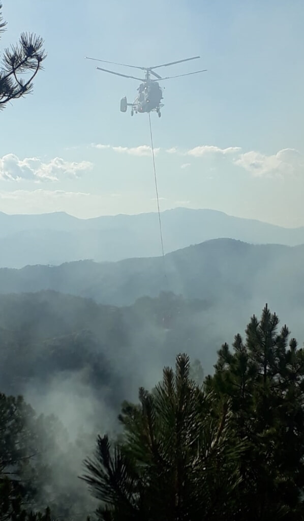 Fethiye'de çıkan orman yangınında 5 dekarlık alan zarar gördü