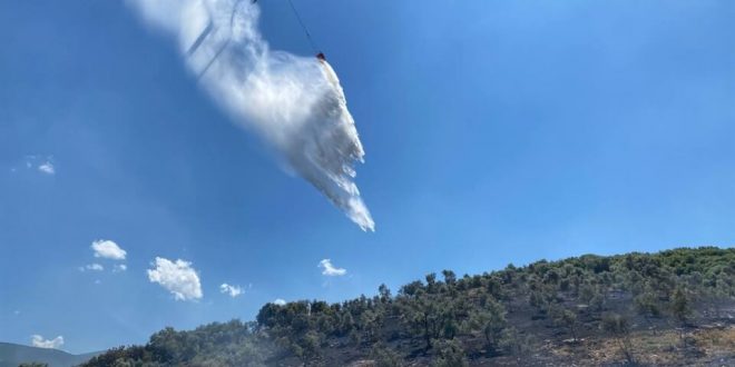 İzmir Tire'de makilik alanda çıkan yangın söndürüldü