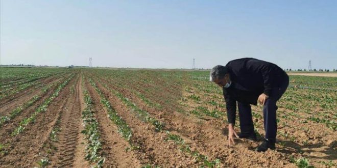 Konya Şeker üreticiye motorin desteğine bugün başlıyor