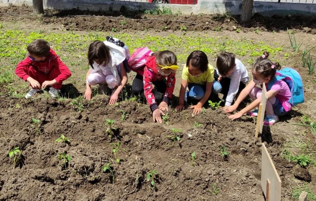 Kütahya'da anaokulu öğrencilerinden "Değişir dönüşür yeşerir" projesi