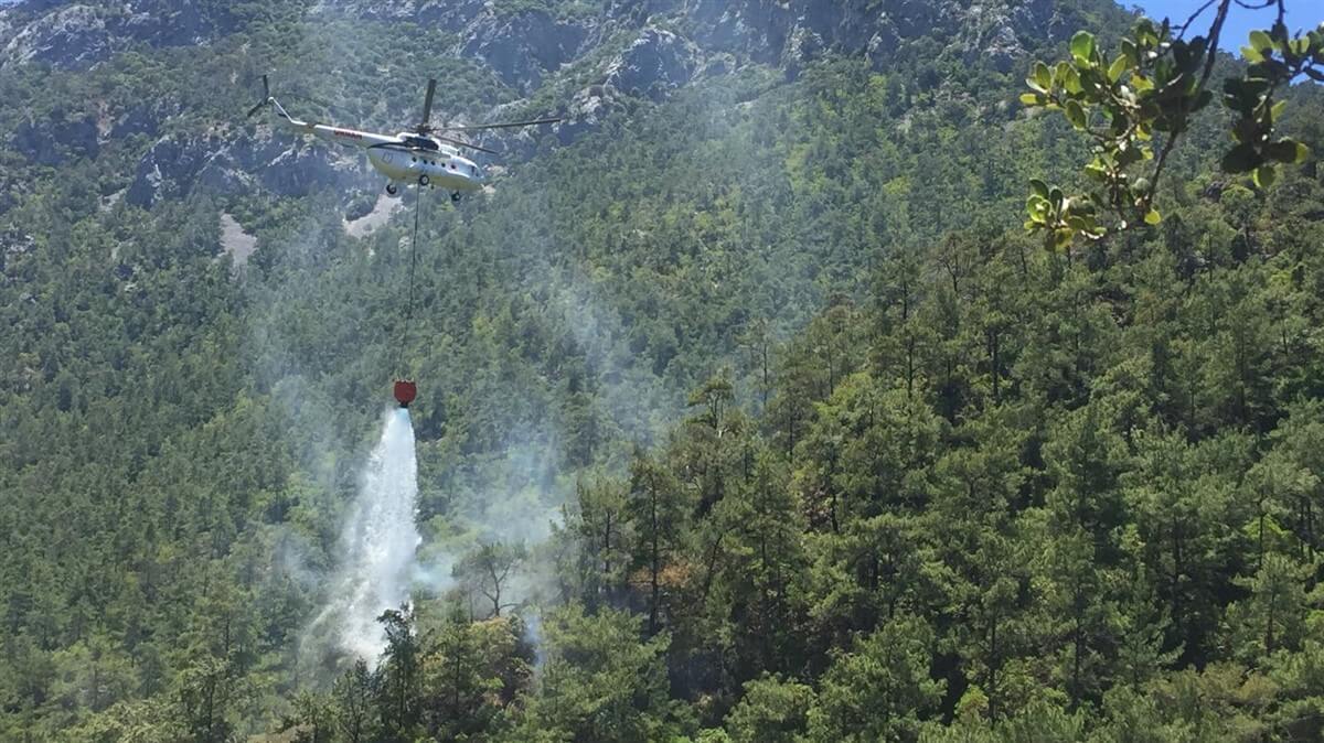 Muğla'da çıkan orman yangınında 3 dekarlık alan zarar gördü