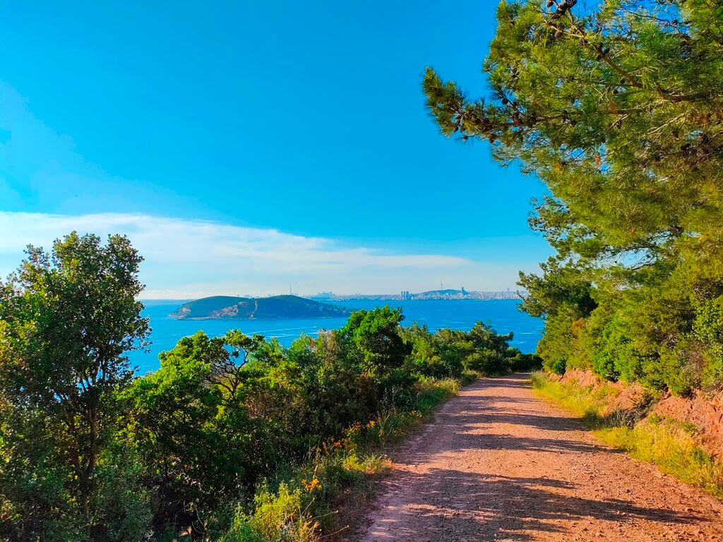 Sefa Yamak, OPPO Reno5 Serisi ile İstanbul'da Yazın Gelişini Fotoğrafladı