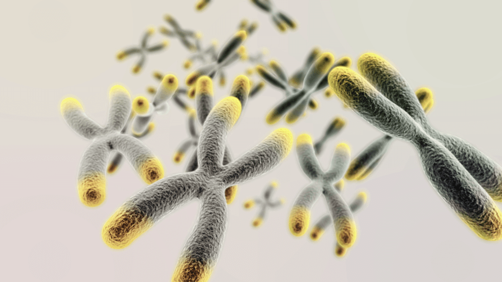 Telomere yönelik uygulamalarla genç kalmak