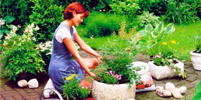 Bahçenizi Güzelleştirecek Dekoratif Çiçek Evi Hazırlamanın Püf Noktaları