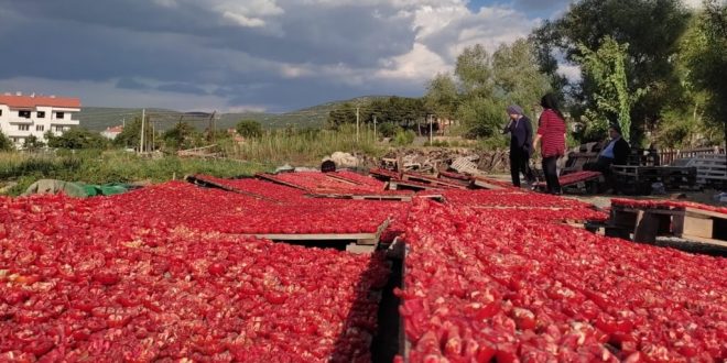 Kale ovalarında "kırmızı" mesaisi başladı