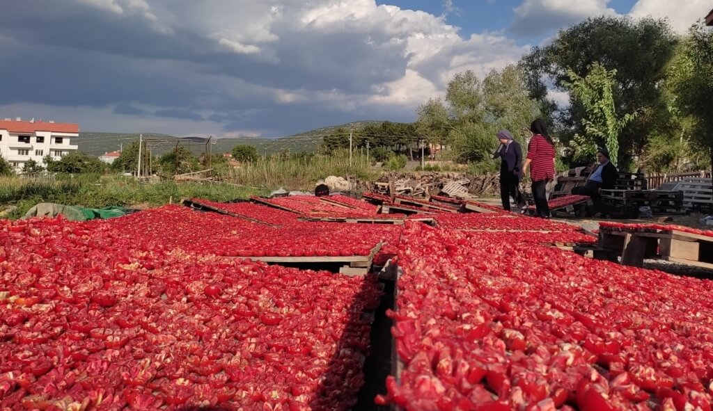 Kale ovalarında "kırmızı" mesaisi başladı