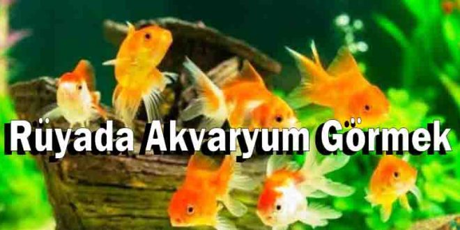 Rüyada Akvaryum Görmek