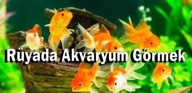 Rüyada Akvaryum Görmek