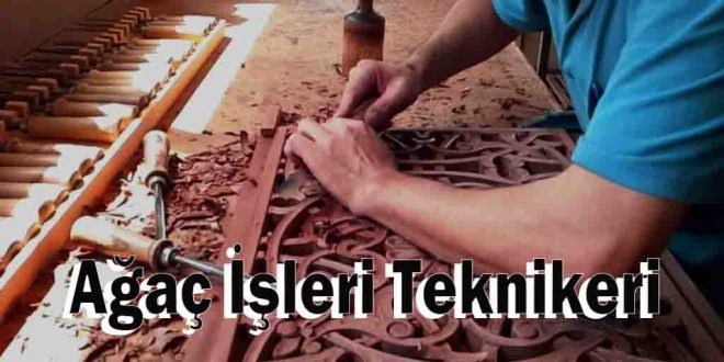 Ağaç İşleri Teknikeri