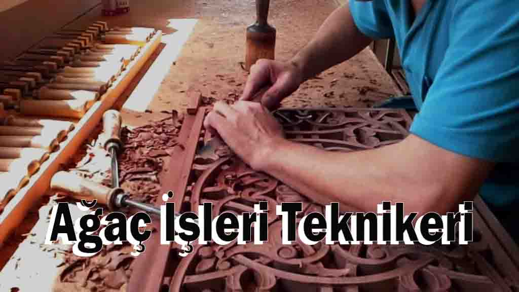 Ağaç İşleri Teknikeri