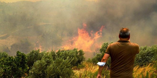 Antidepresan İkramlık Değildir, Bilinçsiz Kullanılmaz!